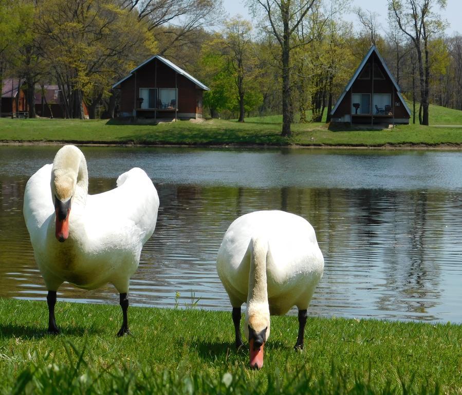 Готель Serenity Springs - Michigan City Springfield Екстер'єр фото